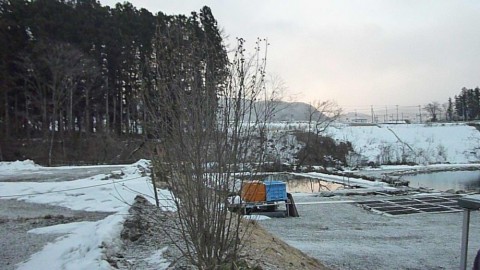 rb56ivgfwbjbhfcoatgy_480_480-4ddbcaf6.jpg