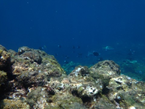 rb5mwmbuy7b8ke5kx5sd_920_690-484278ae.jpg