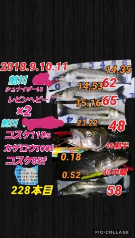 rb9fc66vp46rinujmnho_480_480-3d42b3f5.jpg