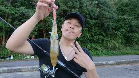 rbgtu88s8aooknywgrkw_480_480-beb2fc8e.jpg