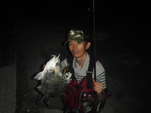 rbkk5g2gws9d8sswht5y_480_480-004025c2.jpg