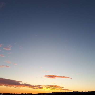 rbtmuds2xbnfxv87rdmo-f8728333.jpg