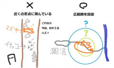 rbu2zkchzksvvis4i7ej_480_480-b02a0d8d.jpg