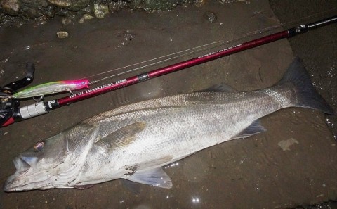 rbzbki74k33d3k24xpsx_480_480-0e064829.jpg
