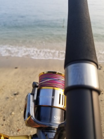 rc828rbn9haxy9htjjr5_480_480-5df52485.jpg