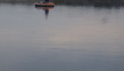rc8peecozxiij7efkfsv_480_480-b5d9de9a.jpg