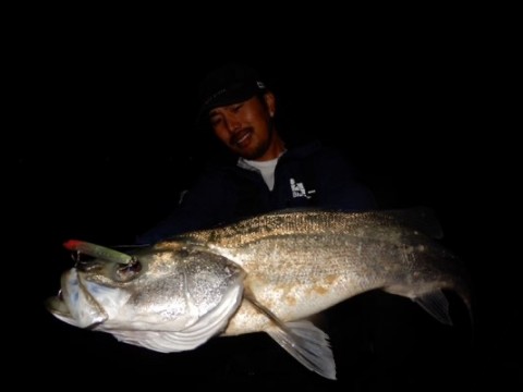 rcc9x9sebojatram2vcy_480_360-8be9d20f.jpg