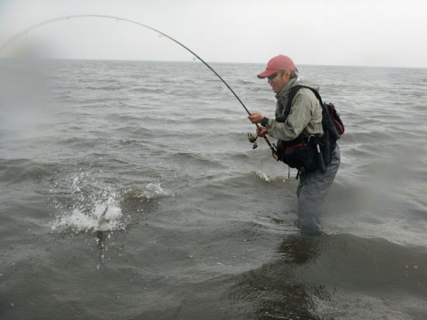 rco9on4fwyjrc3wfmn69_920_690-64314cd0.jpg