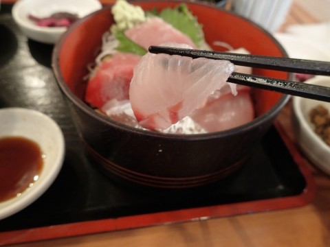 rcryyb6e9m7xarstxm9w_480_480-e73393df.jpg