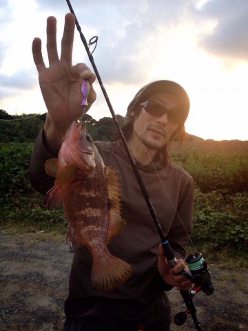 rctbdb69xeyrp5tzd7ab_690_920-67e79e66.jpg