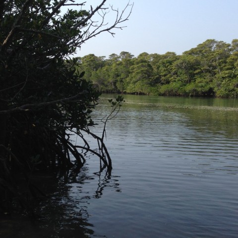rd6mbyxahvxxjz3wor37_480_480-8319b1c5.jpg