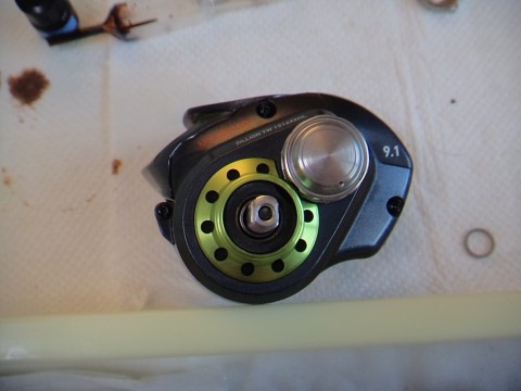 rd9bic5u8g53wbc84rih_480_480-b3d07357.jpg
