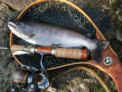 rdo8eeix22sr69w8tvt7-b8c437e4.jpg