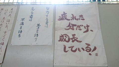 rdp6zjfhsu5mgfbraxpe_920_518-b9c76d72.jpg