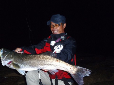 rdtw7dzau3mw884es9wh_480_480-099e0bf6.jpg