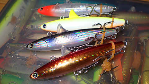rdykuoigradg7bbxxt8v-9f54510c.jpg