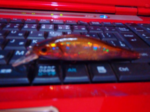 rdzy3g6yoecmez38uhja_480_480-86e042e3.jpg