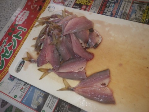 re7rmxcvu43fo2gfojvd_480_480-f05b67e0.jpg