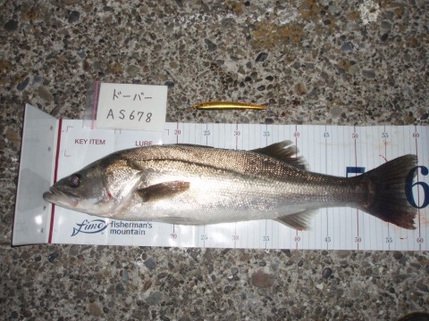 reeyyyp27pvh3wx399kg_480_480-deb856e4.jpg