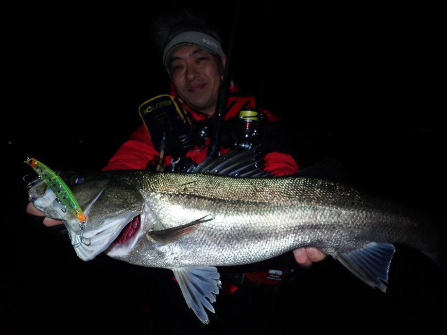 GAUDIS OFFICIAL BLOG fimo.ver】 プロスタッフ前田泰久さんが