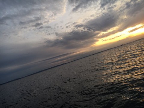 rf68y7thggbxcjswksxb_480_361-051e4f1a.jpg