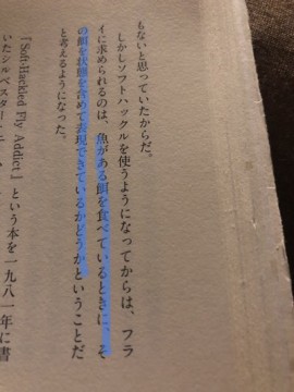 rfsc5zysu8yit3xsx4oj_360_480-afeb5083.jpg