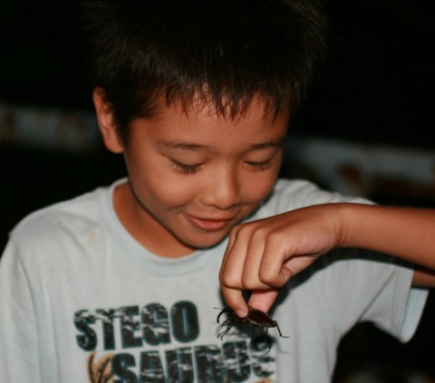 rfsgdxk62673nw2zyy9f_480_480-bcd5e60a.jpg