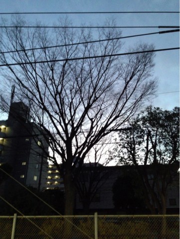 rfypadkmu77g2i82eiuw_692_920-f3053108.jpg