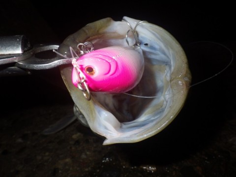 rg4v72agzzfbitps666a_480_480-20bb30f0.jpg