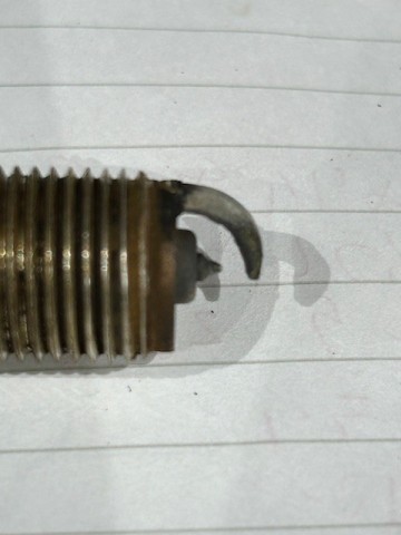 rg74xi5ews2w52afeoex_480_480-6cd91977.jpg