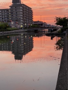 rg7yw6bwprmyzrp9y5hk_361_480-79b0bbd2.jpg