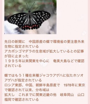 rg9ujms642r7sys5wt9b_398_458-ae726054.jpg