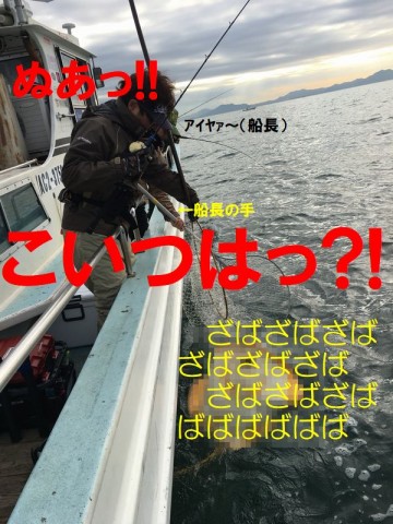 rgg8undsm5fncwkup8h2_480_480-f76fc0aa.jpg