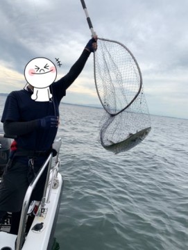 rghpxjppwodpsnwsp8t9_361_480-f846819e.jpg
