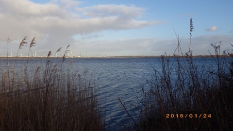 rgt5vmz5bze3u7atnab9_480_480-6a811f62.jpg