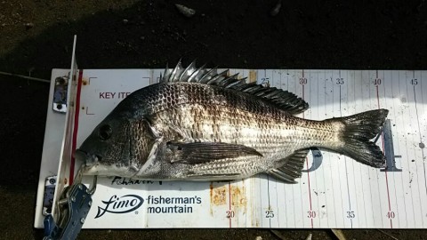 rgvnhdu8x6bb9s5dtt6u_920_518-8cb1721a.jpg
