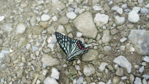 rgwfctn2uibj9og9b3bs_920_518-c8425852.jpg