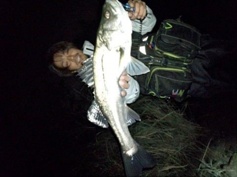 rh6hhemme8yzvh8jx3hr_920_690-5352ec55.jpg