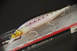 rh6n9jck9d6s9573xggu-7aa97582.jpg