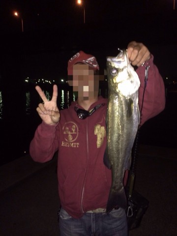 rh6opamh8gz65rwt345r_480_480-2b3a72ac.jpg