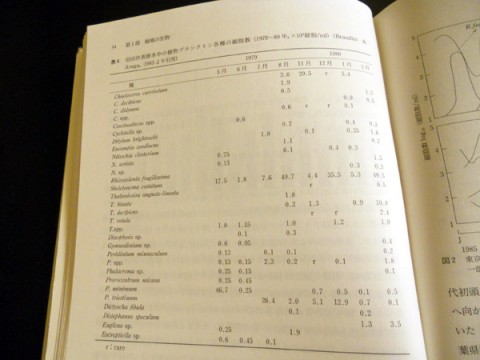 rhsiugvztvrruo27gezw_480_480-19fa4d27.jpg