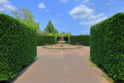 rhuxeuspvwdkowxnuik7_480_480-923ee259.jpg