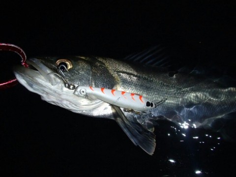 rhztta2yyfwmmeuo5cwv_640_480-8016a576.jpg