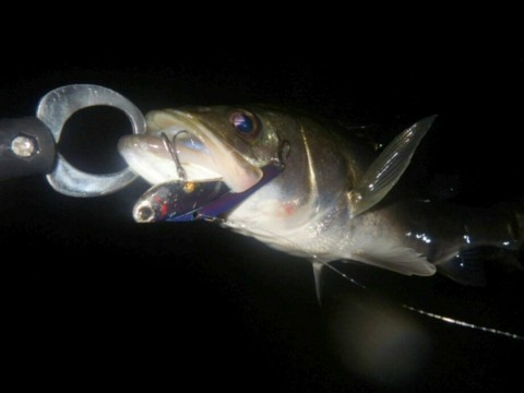 rihongg8xit2w8rmsnwm_920_690-1c00e94e.jpg