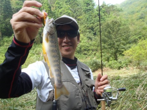 rijoi562927zwud7cws7_480_480-5b9b554c.jpg