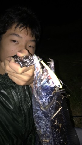 rjhnvxmnn8wcnvjm4d9e_518_921-f1158e25.jpg