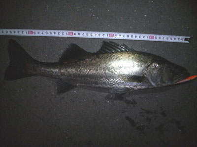 rji4xhijuxbr3a3sr5ay-2c0762b0.jpg