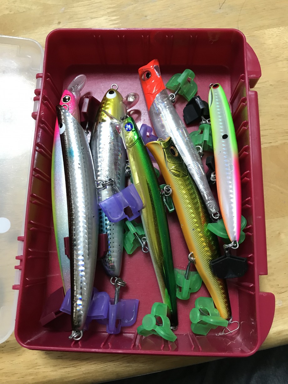 その両腕に夢魚を抱け カタボシイワシパターン 回遊するタイミングとヒットパターン
