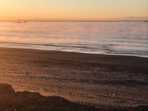 rjtvebv3b46u6m3jr5d6_480_480-b302288c.jpg