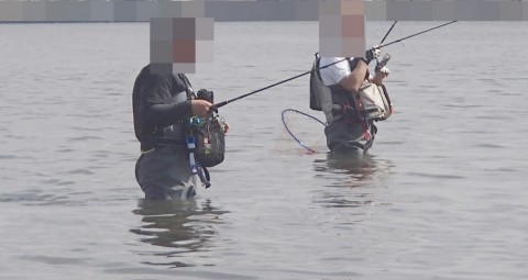 rk2ipdztpr895ay5pvxs_480_480-905dbc3a.jpg